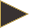 Polygon 2